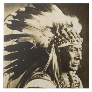 White Swan Sioux Indian Chief Tegeltje