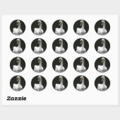 White Swan Stickers (Vel)