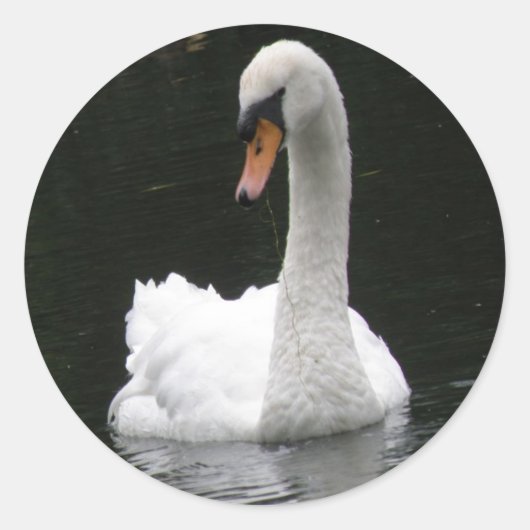 White Swan Stickers (Voorkant)