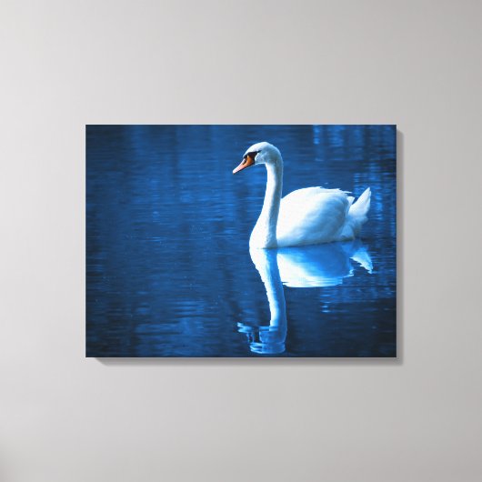 White Swan Swimming in a Lake Canvas Print (Voorkant)