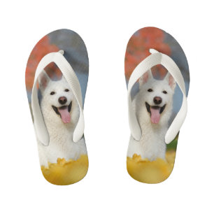 White Swiss Shepherd Dog Photo - Cute Furry Friend Kinder Teenslippers