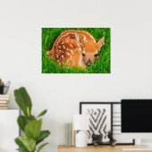 White Tail Baby Deer Poster (Thuiskantoor)