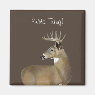 White Tail Buck Magneet