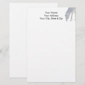 White Tail Deer Briefpapier (Voorkant / Achterkant)