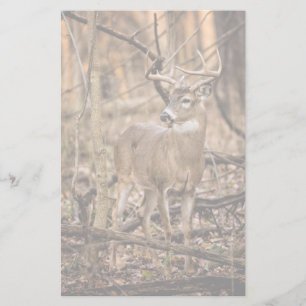 White Tail Deer Buck Briefpapier
