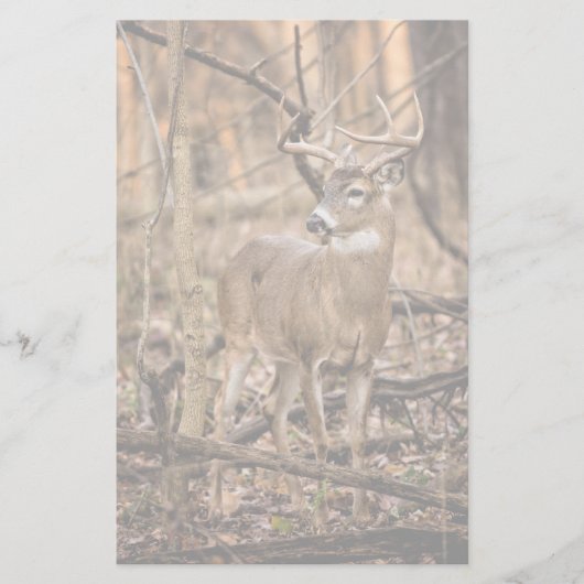 White Tail Deer Buck Briefpapier (Voorkant)