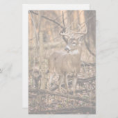White Tail Deer Buck Briefpapier (Voorkant / Achterkant)