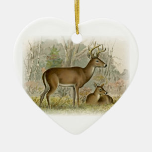 White Tail Deer Buck - Doe Keramisch Ornament