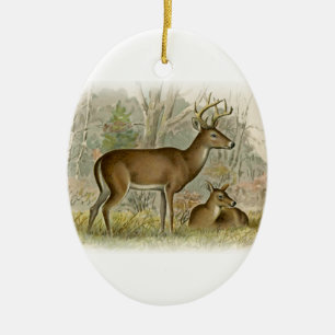 White Tail Deer Buck - Doe Keramisch Ornament