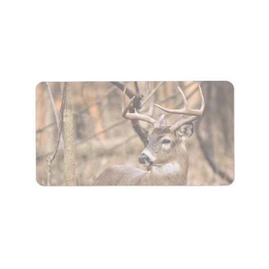 White Tail Deer Buck Etiket (Voorkant)
