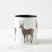 White Tail Deer Buck Mok (Midden)