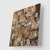 White Tail Deer Buck Vierkante Klok (Hoek)