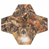 White Tail Deer Head Fall Energy Spiré sur un (Plat)