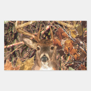White Tail Deer Head Herfst Energie gecentreerd op Rechthoekige Sticker