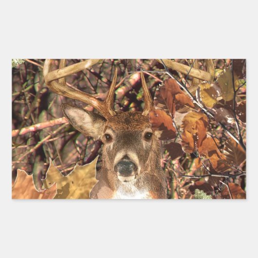 White Tail Deer Head Herfst Energie gecentreerd op Rechthoekige Sticker (Voorkant)