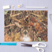 White Tail Deer Head Herfst Energie gecentreerd op Tissuepapier (Craft)