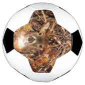 White Tail Deer Head Herfst Energie gecentreerd op Voetbal (Gedraaid)