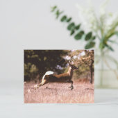 White-Tail Deer Running Briefkaart (Staand voorkant)