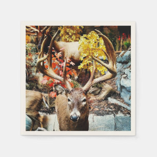White Tail Deer Servet