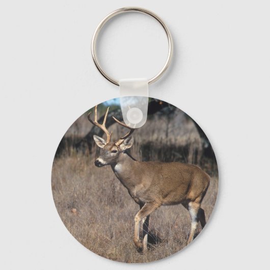 White Tail Deer Sleutelhanger (Voorkant)