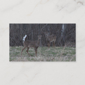 White Tail Deer Visitekaartjes
