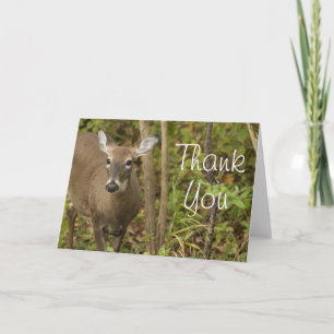 White Tailed Deer Bedankkaart