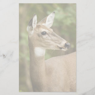 White Tailed Deer Briefpapier