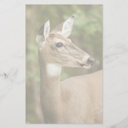 White Tailed Deer Briefpapier (Voorkant)