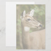 White Tailed Deer Briefpapier (Voorkant / Achterkant)