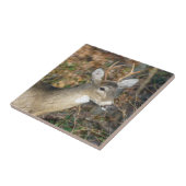White-Tailed Deer Buck Ceramic Photo Tile Tegeltje (Zijkant)