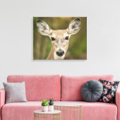 White Tailed Deer Canvas Afdruk (Insitu (Woonkamer))
