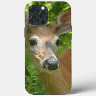 White Tailed Deer iPhone 13 Pro Max Hoesje