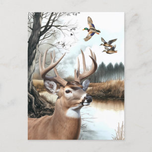 White Tailed Deer en Mallards natuur scene Briefkaart