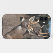 White-Tailed Deer - iPhone 5 Hoesje (Achterkant (horizontaal))