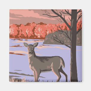 White Tailed Deer Magneet
