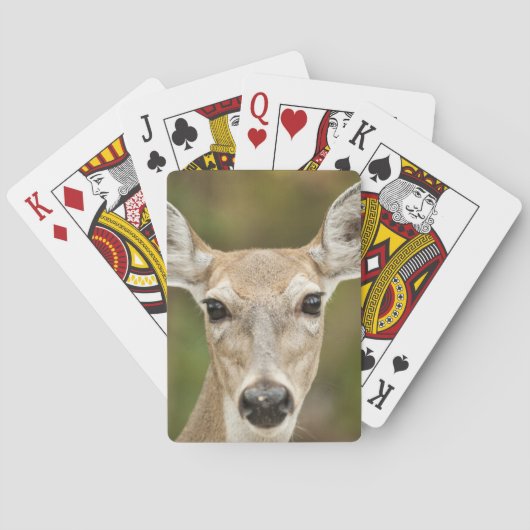 White Tailed Deer Pokerkaarten (Achterkant)
