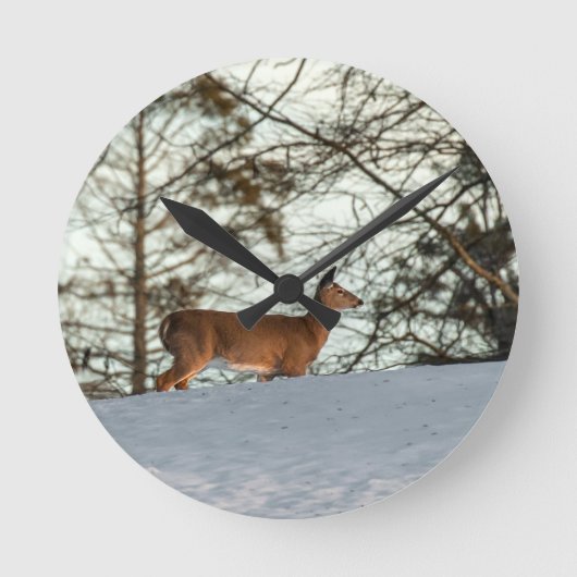 White Tailed Deer Ronde Klok (Voorkant)
