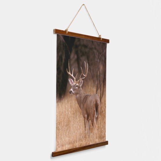 White Tailed Deer | State Park Choke Canyon, TX Hangend Wandkleed (Gebogen)