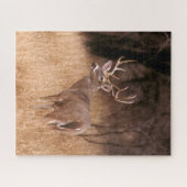 White Tailed Deer | State Park Choke Canyon, TX Legpuzzel (Horizontaal)