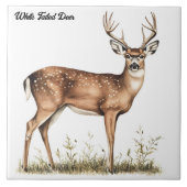 White Tailed Deer Tegeltje (Voorkant)