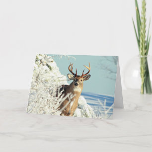 White Tailing Deer Big Buck Winter Scene Kaart
