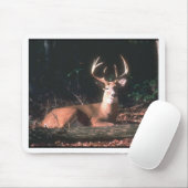 White Tailing Deer Buck Foto Muismat (Met muis)