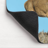 White Tailing Deer Buck Muismat (Hoek)