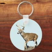 White Tailing Deer Buck Sleutelhanger (Voorkant)