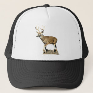 White Tailing Deer Buck Trucker Pet