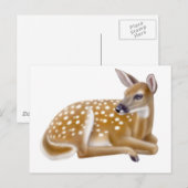 White Tailing Deer Fawn Briefkaart (Voorkant / Achterkant)