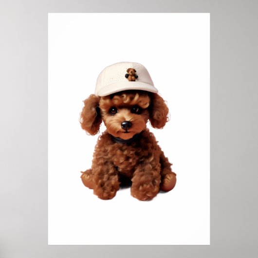 White Teacup Poodle Folder Poster (Voorkant)