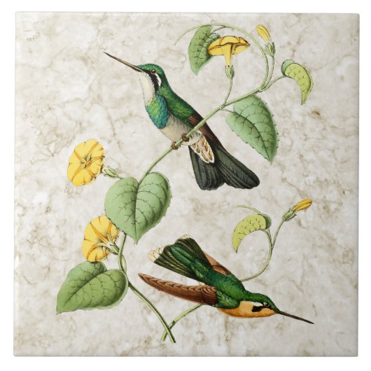 White Throat Mountain Gem Hummingbird Ceramic Tile Tegeltje (Voorkant)
