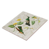 White Throat Mountain Gem Hummingbird Ceramic Tile Tegeltje (Zijkant)
