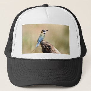 White throated Bee-eater Trucker Pet